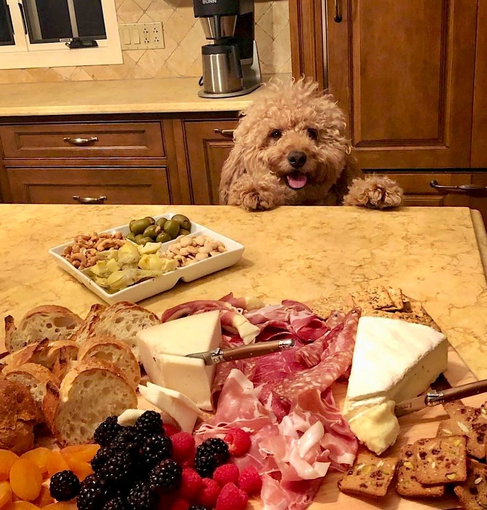 Can I Enjoy Charcuterie with My Pets?